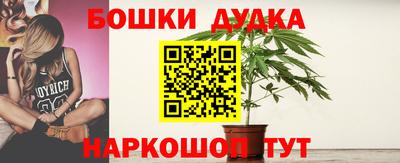 гашик Заводоуковск