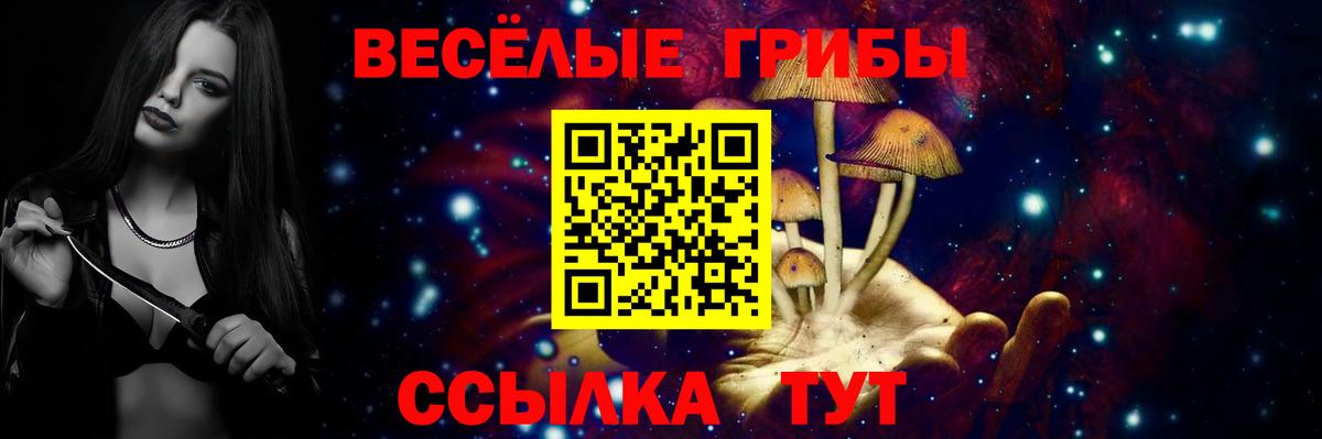 наркота  Галлюциногенные грибы Psilocybe  Люберцы  Вход с VPN  Галлюциногенные грибы ЛСД 